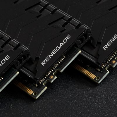     DDR4 64GB (2x32GB) 3600 MHz Fury Renegade Black HyperX (Kingston Fury) (KF436C18RBK2/64) -  9