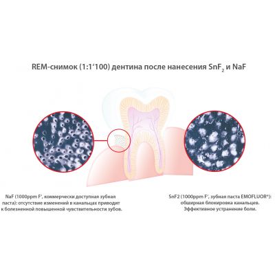 ������ ����� Dr. Wild Emofluor Daily Care �� ����������������� �������� ����� 75�� (7611841701686) - �������� 4