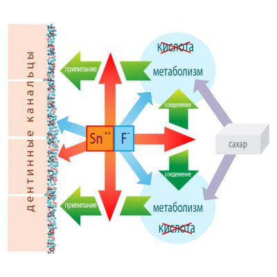 ������ ����� Dr. Wild Emofluor Daily Care �� ����������������� �������� ����� 75�� (7611841701686) - �������� 5