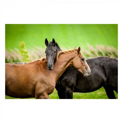 ���� Educa ���� 200 �������� (6336982) - �������� 2