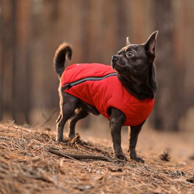 ����� ��� ������ Pet Fashion "E.Vest" S �������� (4823082424450) - �������� 3