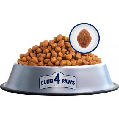     Club 4 Paws .  ,     4  1 900  (4820083909412) -  3