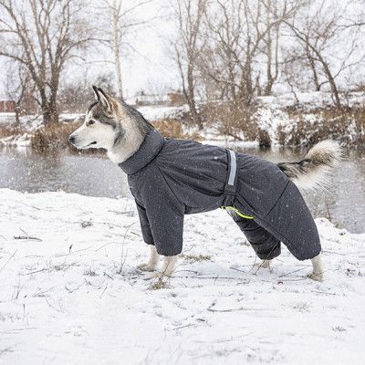 ��������� ��� ������ Pet Fashion "COLD" M (����) (4823082426294) - �������� 5