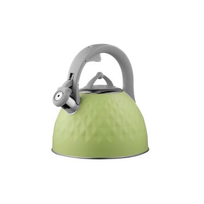 ������ Ardesto Gemini 2.5 � Green (AR1947KG) - �������� 1