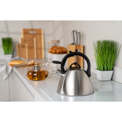 ARDESTO ������ Gemini, 2.5 �, ����, ��������� ����� AR1948KS - �������� 5