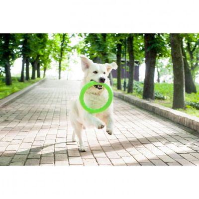 ������� ��� ����� Collar PitchDog ������ ��� ����������� 17 �� ��������� (62365) - �������� 3