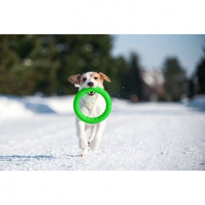 ������� ��� ����� Collar PitchDog ������ ��� ����������� 17 �� ��������� (62365) - �������� 4