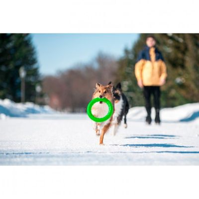 ������� ��� ����� Collar PitchDog ������ ��� ����������� 17 �� ��������� (62365) - �������� 5