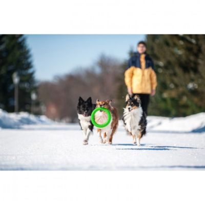 ������� ��� ����� Collar PitchDog ������ ��� ����������� 17 �� ��������� (62365) - �������� 6
