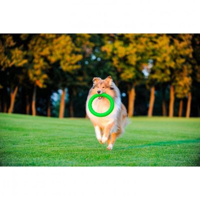 ������� ��� ����� Collar PitchDog ������ ��� ����������� 17 �� ��������� (62365) - �������� 7