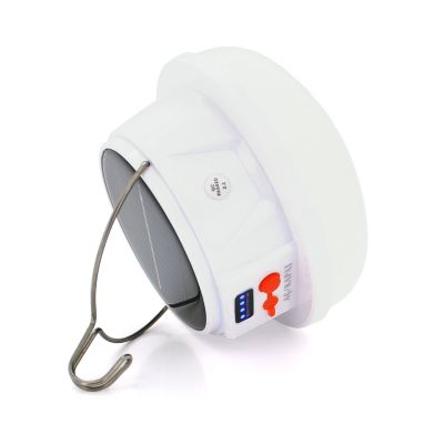 ������ Voltronic GoldSilver (GS-3900) - �������� 1