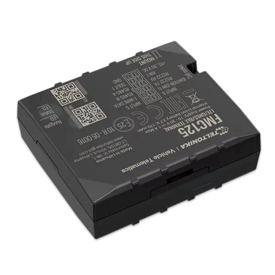 GPS-������ ��� ���� Teltonika FMC125 - �������� 6