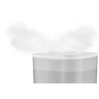 Rowenta   Aqua Boost HU4020F0 HU4020F0 -  4