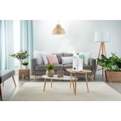 Rowenta   Aqua Boost HU4020F0 HU4020F0 -  8