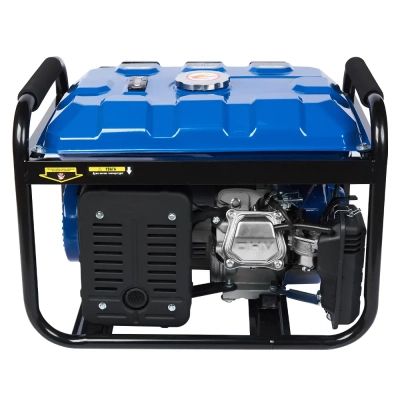 ��������� Enersol EPG-3000SE 3.0 kW - �������� 4