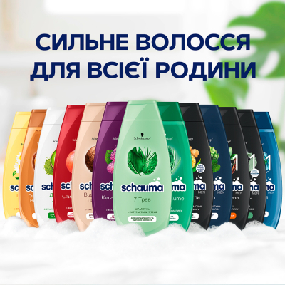 ������� Schauma ����� ������ & �������������� ��� ����� � ������������ ����� 400 �� (9000101653045) - �������� 2