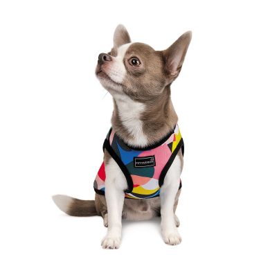 �������� ��� �������� Pet Fashion Cool M ������������ (4823082420193) - �������� 3