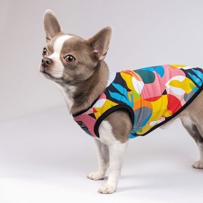�������� ��� �������� Pet Fashion Cool M ������������ (4823082420193) - �������� 6