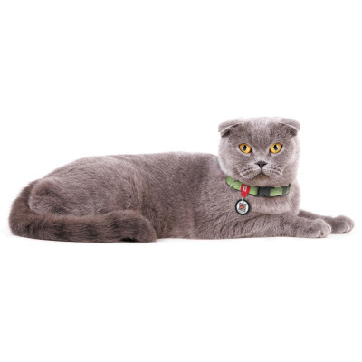 ������� ��� �������� WAUDOG Re-cotton � QR ��������� ��� ����� � ������ ����� ����� XS ��������� (16405) - �������� 4