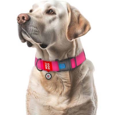 ������� ��� �������� WAUDOG Waterproof � QR ��������� ����������� ������� XXL ������� (25117) - �������� 4