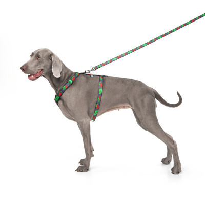 ���� ��� ����� WAUDOG Nylon � QR ��������� ������������� H-�������� "������" L (5160-0228) - �������� 3