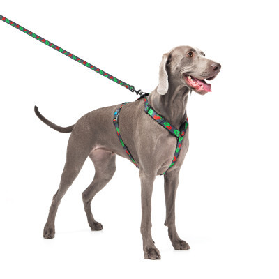 ���� ��� ����� WAUDOG Nylon � QR ��������� ������������� H-�������� "������" L (5160-0228) - �������� 4