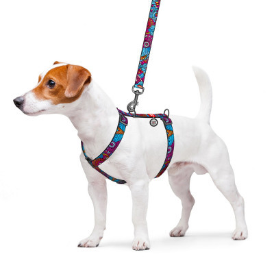 ���� ��� ����� WAUDOG Nylon � QR ��������� ������������� H-�������� "����" S (5616) - �������� 3