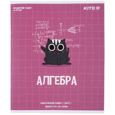 Kite  Cat 48 ,   (K23-240-24) -  1