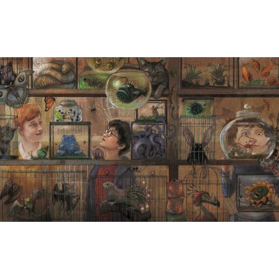 ����� ���� ������ � �'����� ��������. ������ ����������� ������� - ����� ����� �-��-��-��-��-��-�� (9786175851319) - �������� 2