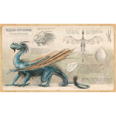      .    -   ------ (9786175851821) -  3