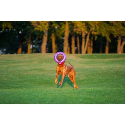 ������� ��� ����� Puller Maxi 30 �� (6492) - �������� 5