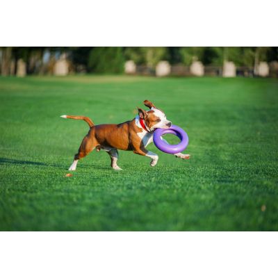 ������� ��� ����� Puller Maxi 30 �� (6492) - �������� 7