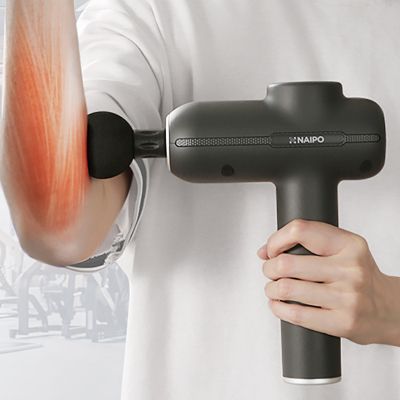 �������� NAIPO MGG-2103 - �������� 2