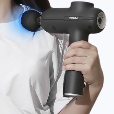�������� NAIPO MGG-2103 - �������� 4