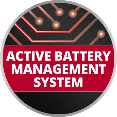 ����������� � ������������������ Einhell 18V PXC Twinpack, 18V, 5.2Ah, 2 �� (4511526) - �������� 5