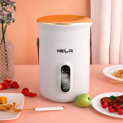 � ����-���� Neor ��� ��������� � ������������� ���� 0,6 � (HEAT 06L50 WT) - �������� 10