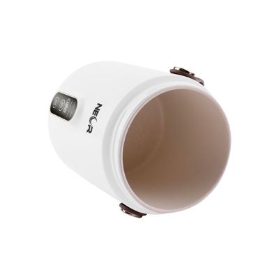 � ����-���� Neor ��� ��������� � ������������� ���� 0,6 � (HEAT 06L50 WT) - �������� 8