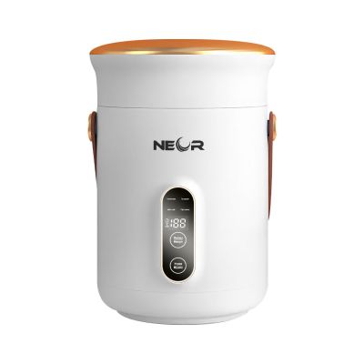 � ����-���� Neor ��� ��������� � ������������� ���� 0,6 � (HEAT 06L50 WT) - �������� 1