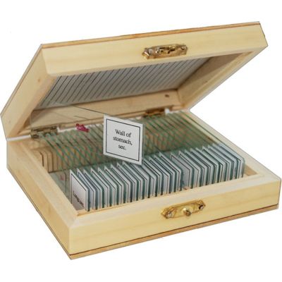 ����� ��������������� Sigeta ������� 25 �� (65105) - �������� 1