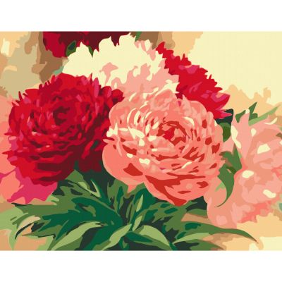 ������� �� ������� Rosa ����� ������ 35 � 45 �� (4823098526117) - �������� 1