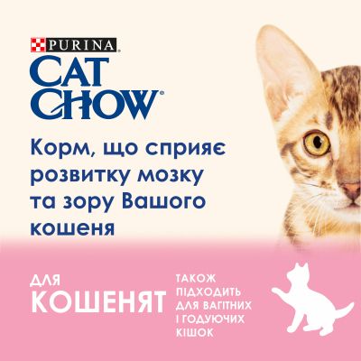     Purina Cat Chow Kitten   15  (5997204514028) -  5