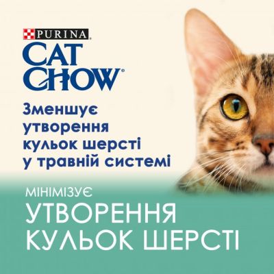 ������� ���� ��� ����� Purina Cat Chow Hairball � ������� � ������� ������� � ���� 85� (7613037031393) - �������� 5
