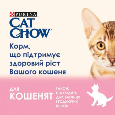 ������� ���� ��� ����� Purina Cat Chow Kitten � �������� � ������� � ���� 85� (7613036595001) - �������� 5