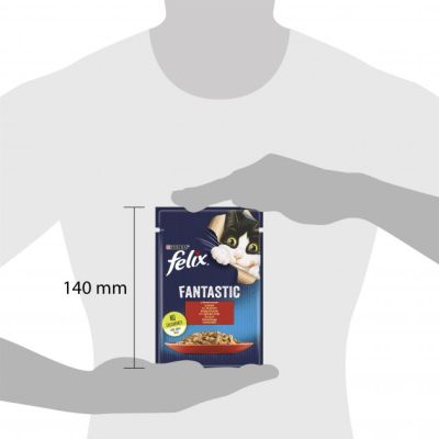 ������� ���� ��� ����� Purina Felix Fantastic � ��������� � ���� 85 � (7613039838624) - �������� 5