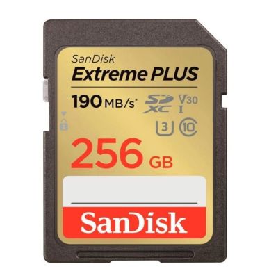 ����� ������ SanDisk 256GB SD class 10 UHS-I Extreme PLUS (SDSDXWV-256G-GNCIN) - �������� 1