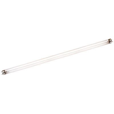 �������� Delux T8 30W G13 �������� (Boric Germicidal) (10007844) - �������� 1