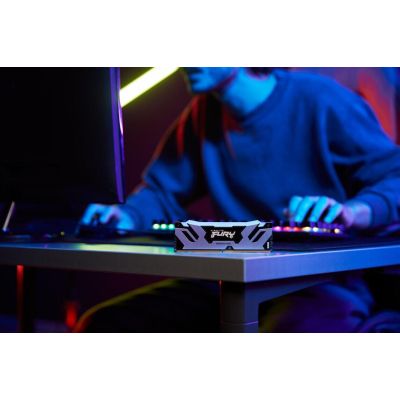  '  ' DDR5 96GB (2x48GB) 6000 MHz Renegade Silver XMP Kingston Fury (ex.HyperX) (KF560C32RSK2-96) -  9