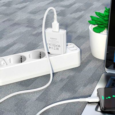 �������� ������� BOROFONE BA74A Aspirer charger set(Micro) White (BA74AMW) - �������� 6