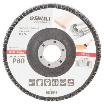 ���� ��������� Sigma ����������� �������� �29 (����������) ZA 125�� P80 (9173541) - �������� 2