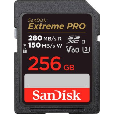 ����� ������ SanDisk 256GB SDXC class 10 UHS-I Extreme Pro (SDSDXEP-256G-GN4IN) - �������� 1